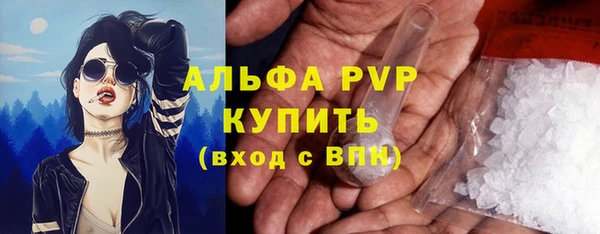 скорость Вяземский