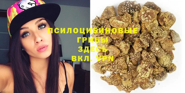 ГАЛЛЮЦИНОГЕННЫЕ ГРИБЫ Вязьма