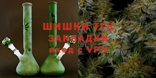 скорость Вяземский