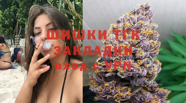 ГАЛЛЮЦИНОГЕННЫЕ ГРИБЫ Вязьма