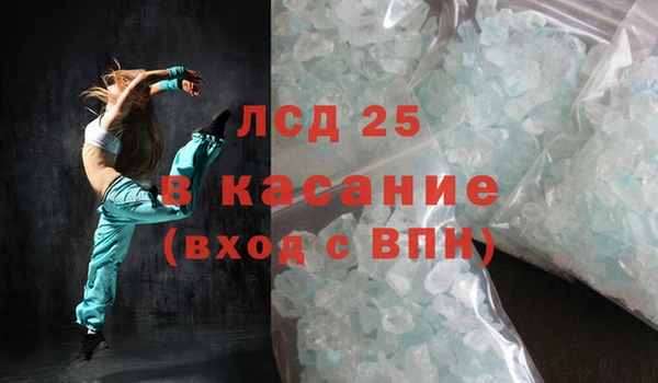 ГАЛЛЮЦИНОГЕННЫЕ ГРИБЫ Вязьма