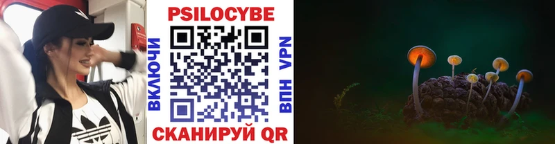 где продают   Гусиноозёрск  blacksprut маркетплейс  Галлюциногенные грибы Cubensis 